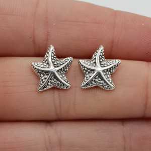 Silver starfish oorknoppen