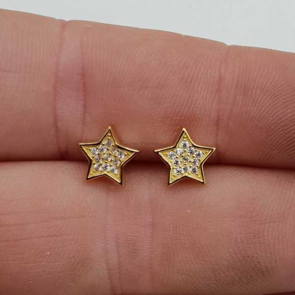 Gold plated oorknoppen star, set with Zirconia