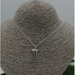 Silver necklace with haaientand pendant