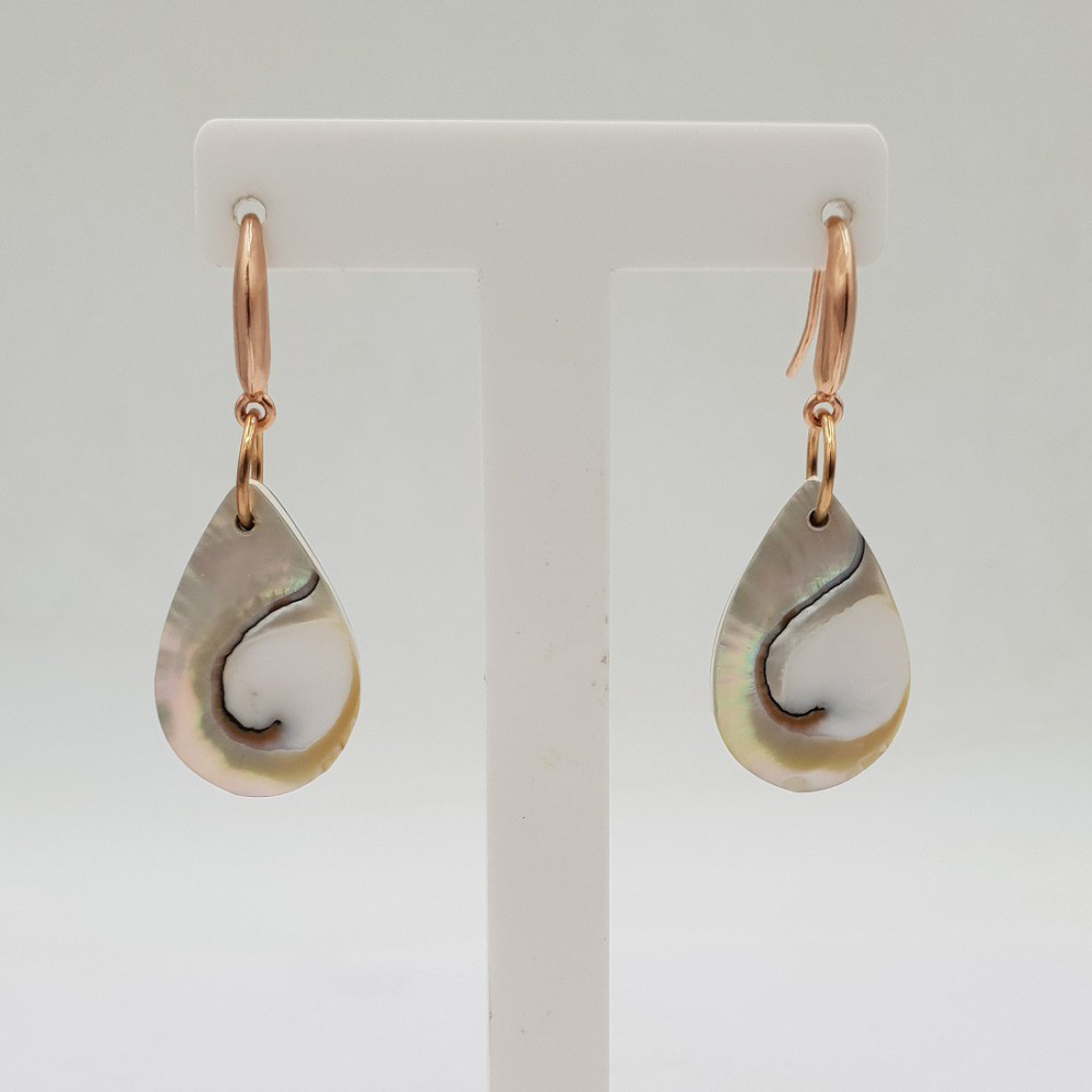 Earrings with nautilus shell drop