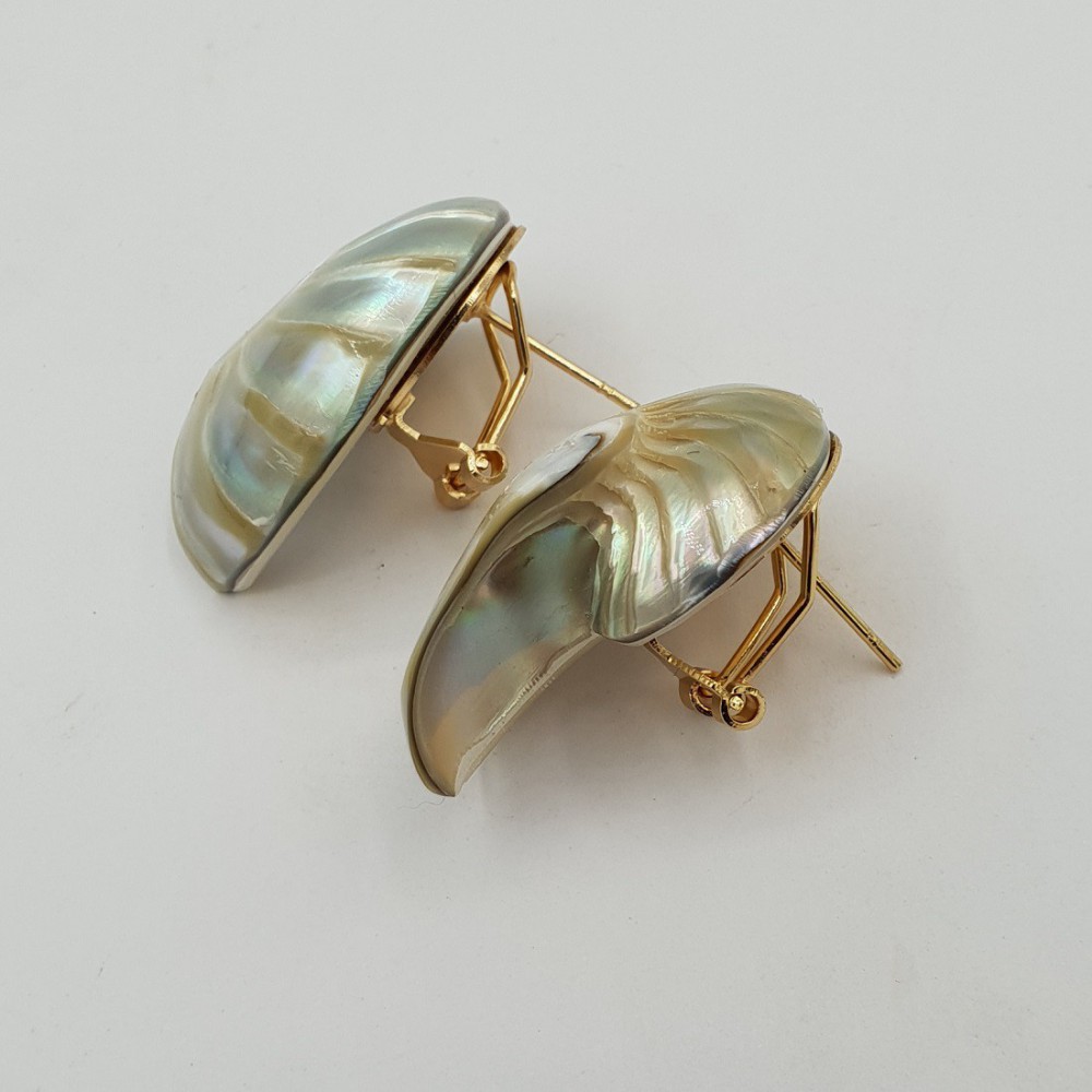 Earrings with nautilus shell