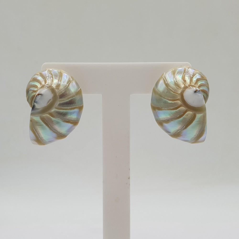 Earrings with nautilus shell