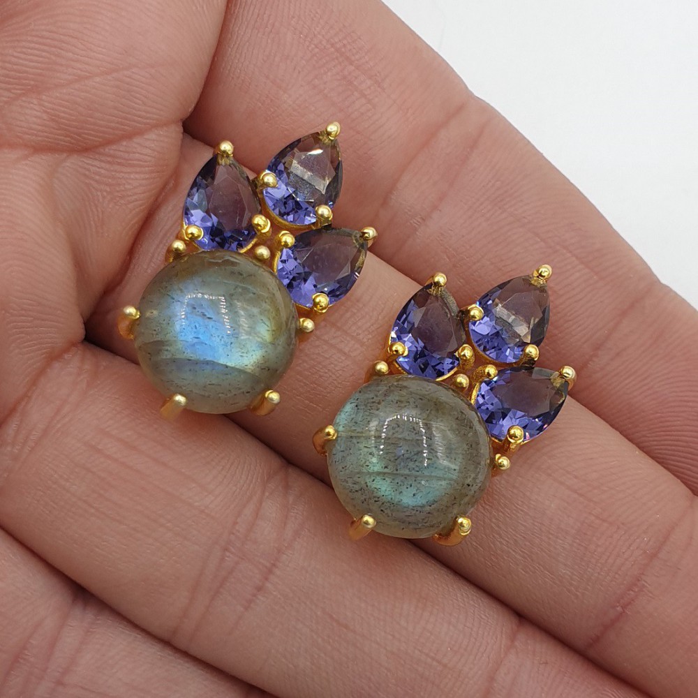 Gilded earrings with amethyst Quartz and Labradorite