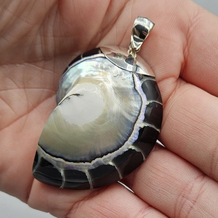 925 Sterling silver pendant large black nautilus shell