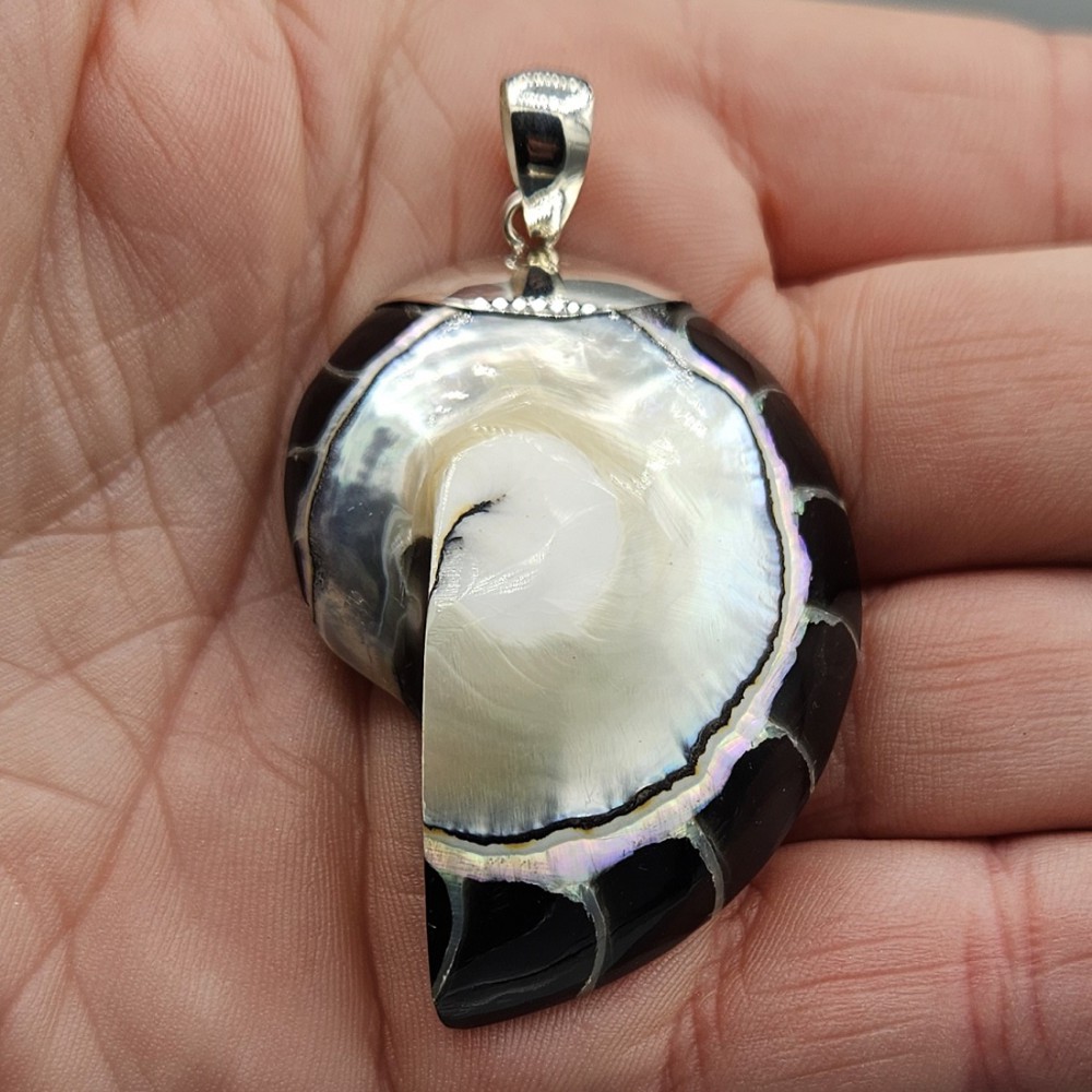 925 Sterling silver pendant large black nautilus shell