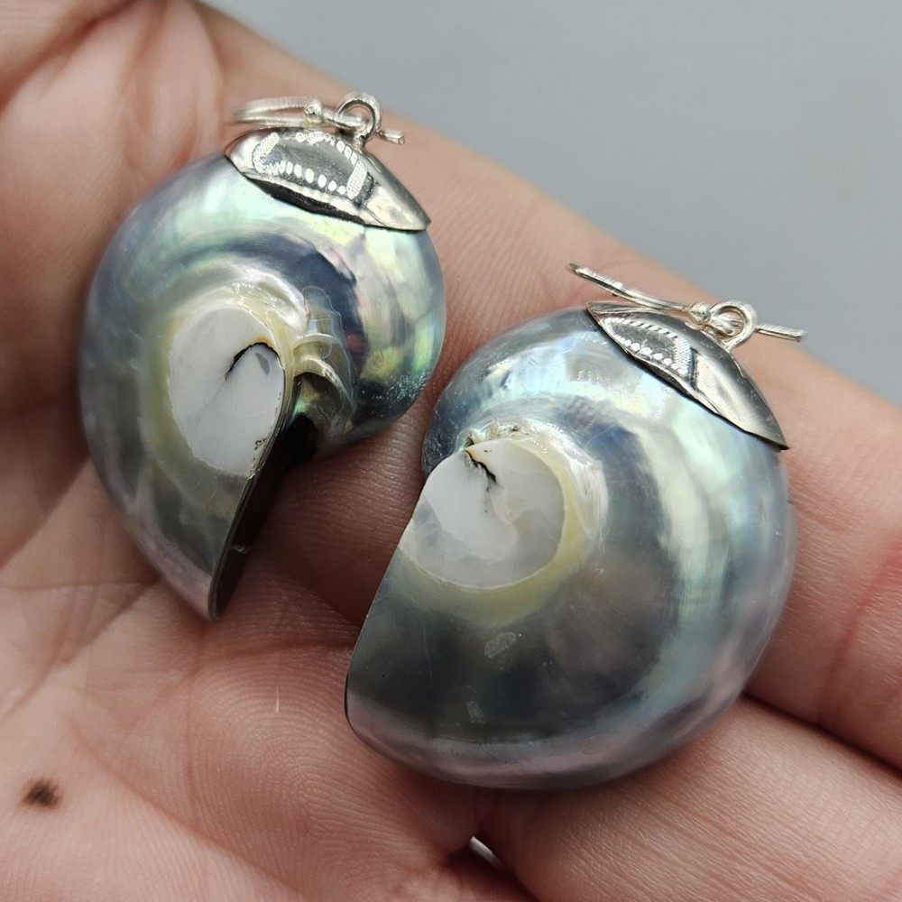 925 Sterling zilveren oorbellen gezet met Nautilus schelp