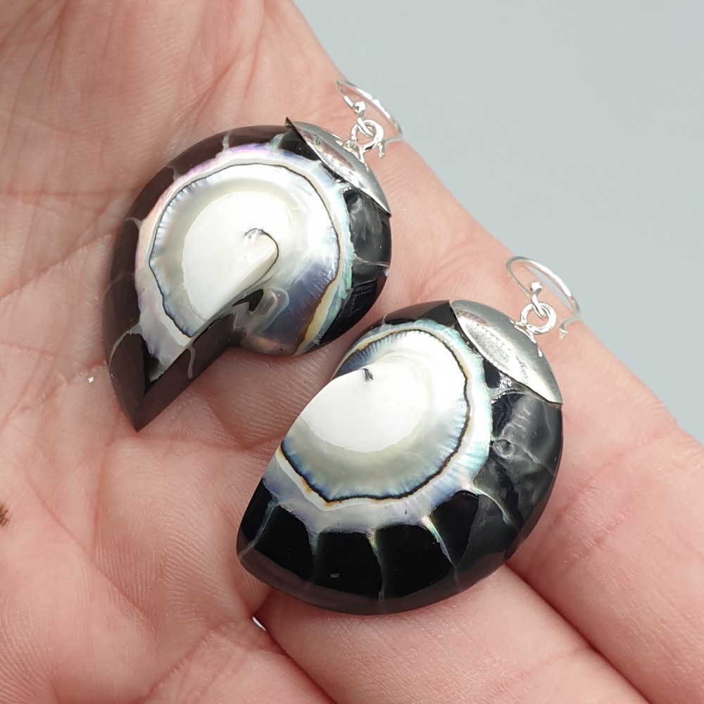 925 Sterling silver earrings set with black Nautilus shell