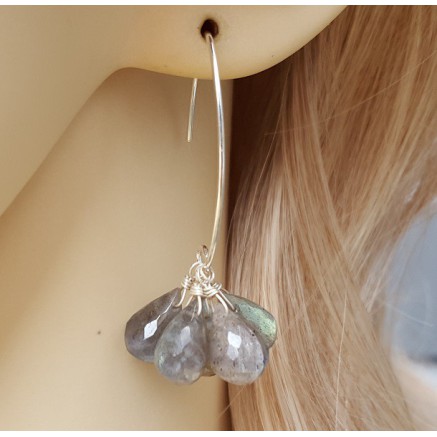 Silver earrings with Labradorite Trosje