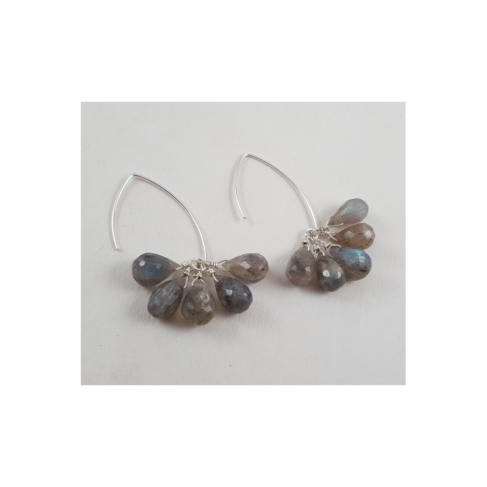 Silver earrings with Labradorite Trosje