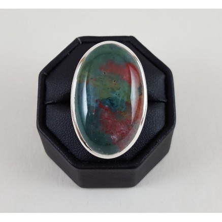 Silver ring set with oval bloodstone 16.5 mm